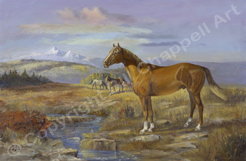 Quarter Horse (Giclee Print)